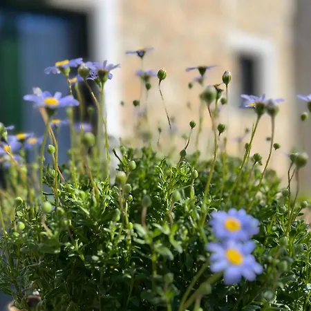 Appartement Corcyrana